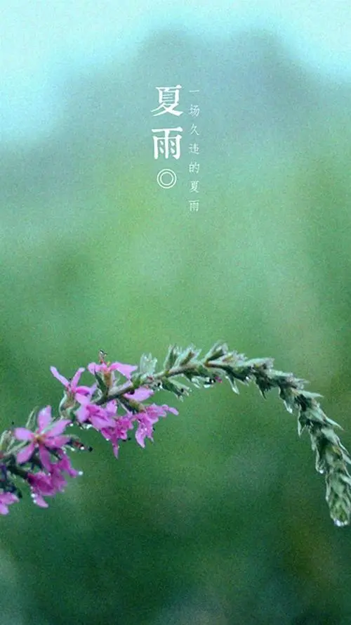 陕西张志民《夏雨》(图7)