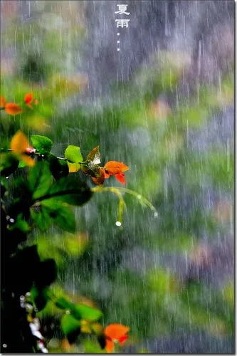 陕西作家徐俊甫《入伏的雨》（图4）