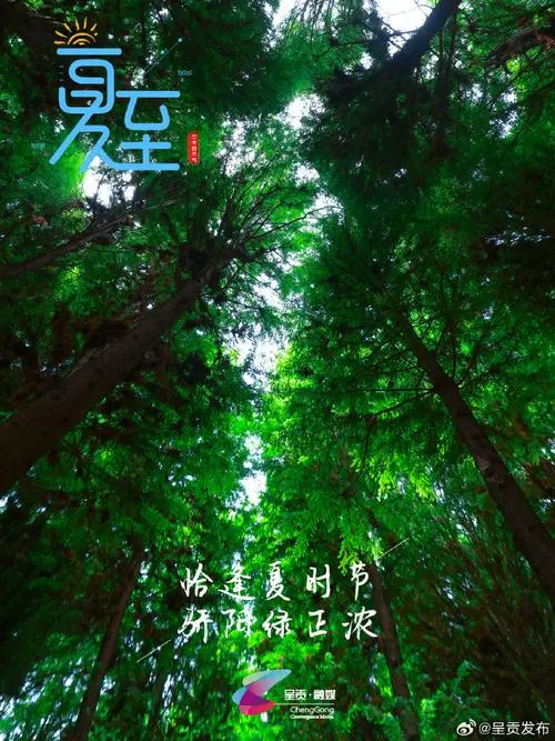 陕西作家徐俊甫《入伏的雨》（图10）