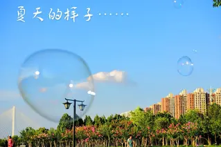 陕西张志民《剪影》（图6）