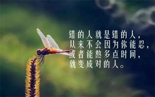 陕西作家孙旭升《怪滋辣味》(图4)