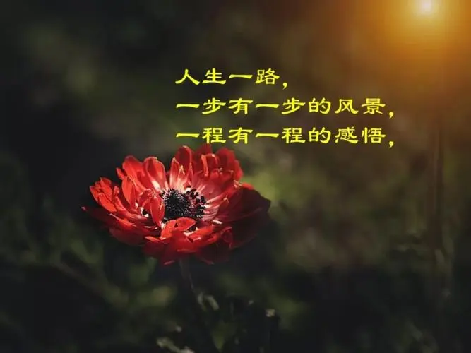 陕西作家孙旭升《怪滋辣味》（图8）