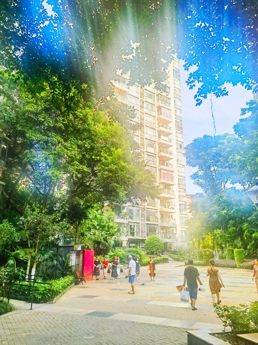 「散文诗」盛夏里的斑鸠（图4）