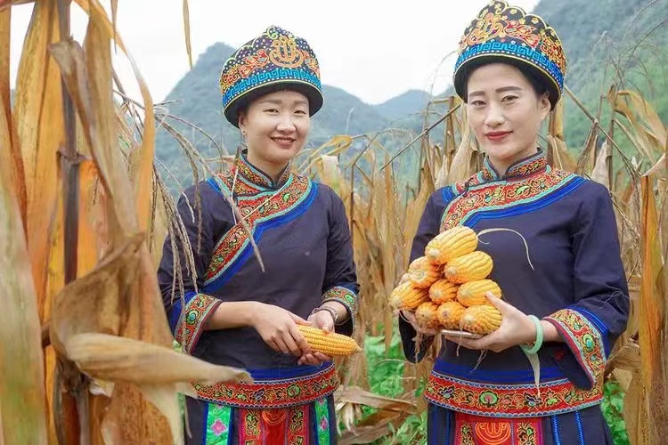 微信图片_20240701133720