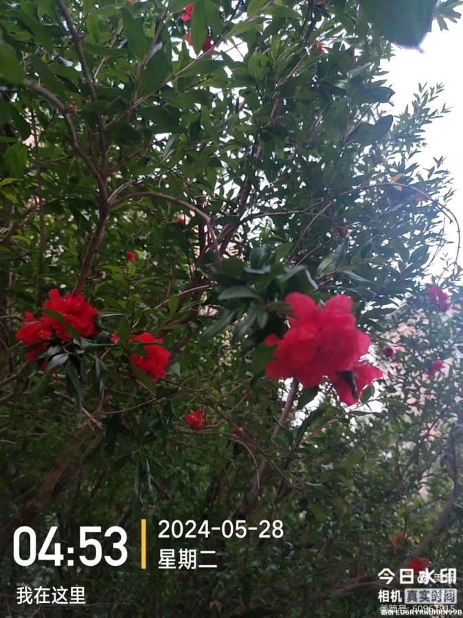 《我们正年轻》（图2）