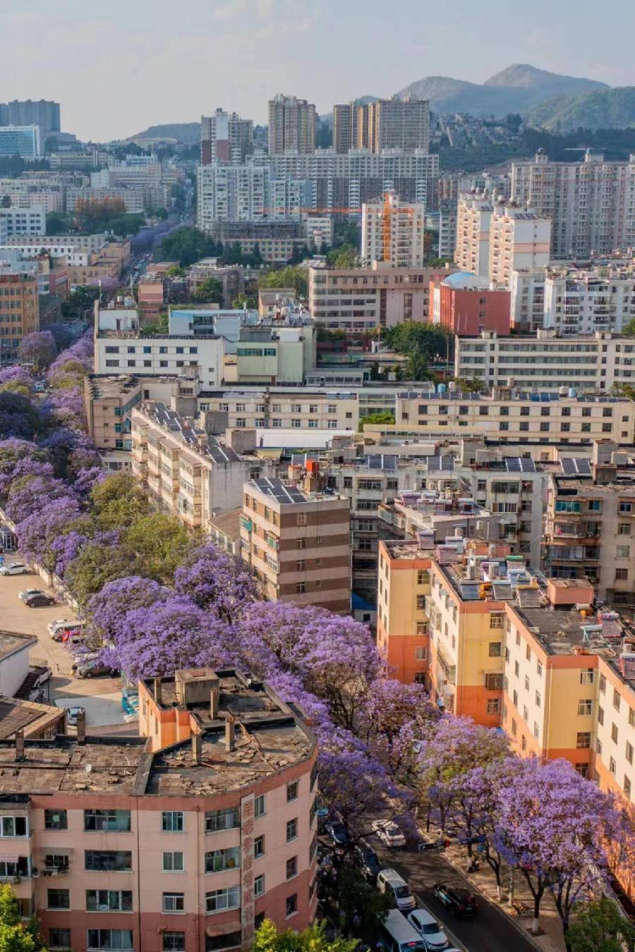 微信图片_20240729135249 微信图片_20240729135249