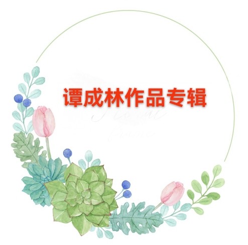 谭成林作品专辑