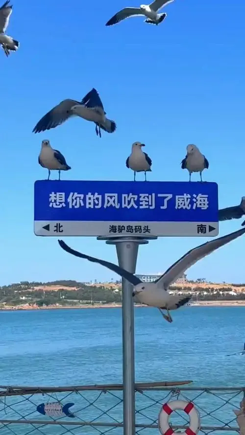 【名家风采】读曹志杰的《无序的断章》感怀//三门峡 深秋无痕//《诗满华夏》征稿//都市头条（图3）