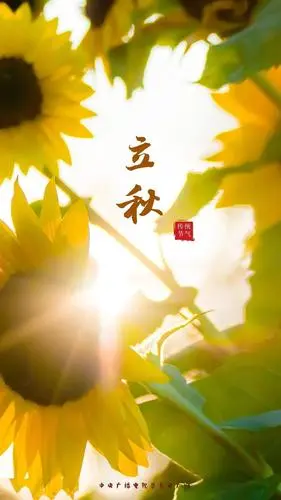 陕西张志民《立秋，沉淀自己》（图5）