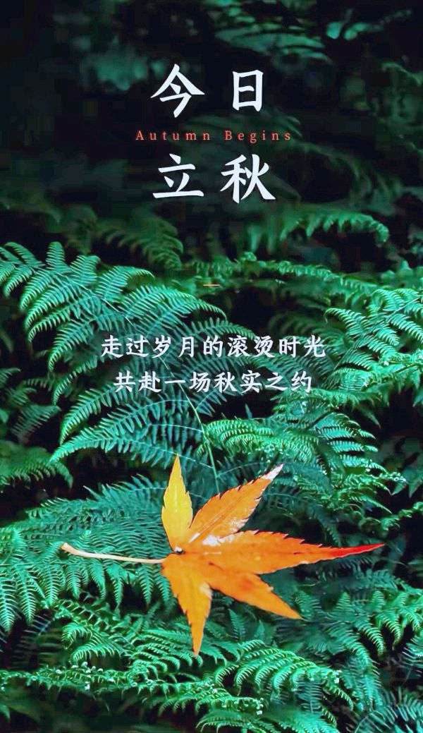立秋吟～诗||吴永良（图8）