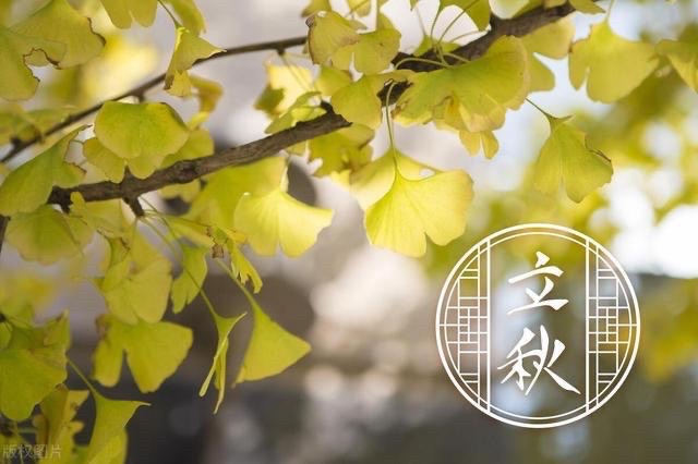 【新诗大观】立秋了（诗三首）||文/冯晓敏（图2）