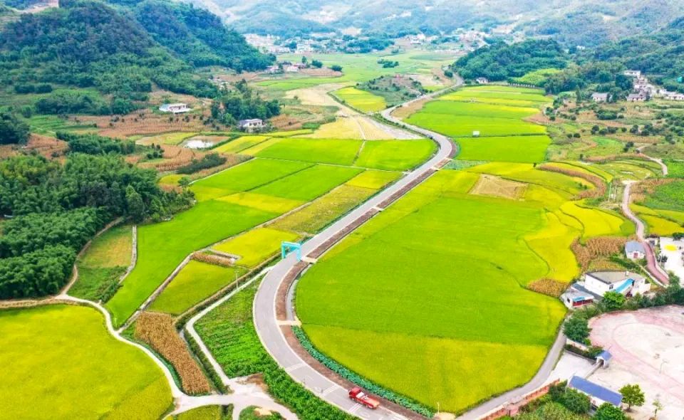夏去秋来，愿岁月安好～文||旗袍（图14）