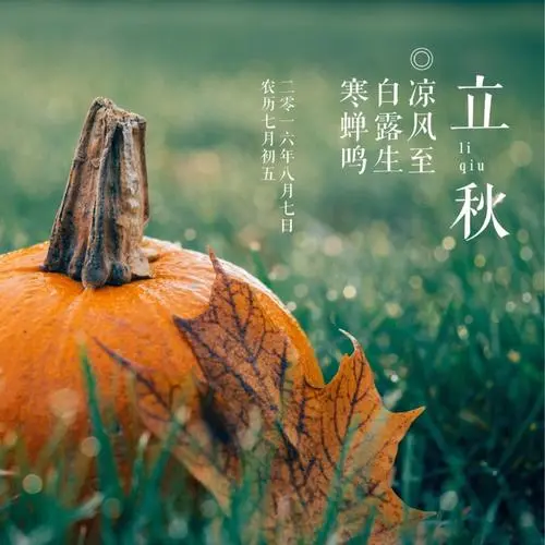 陕西张志民《我喜欢初秋的模样》（图4）