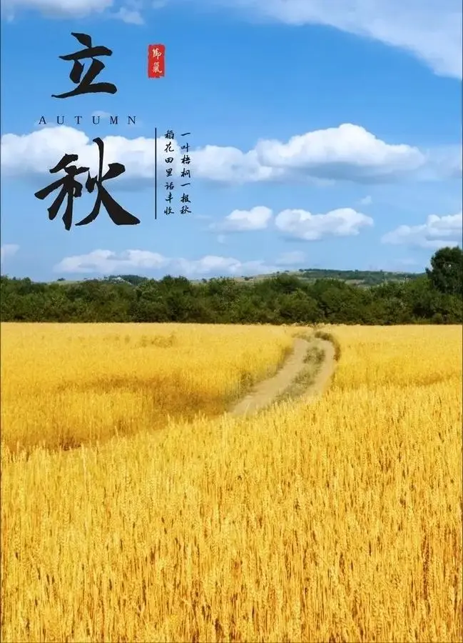 七律《立秋感怀》文/潘毅