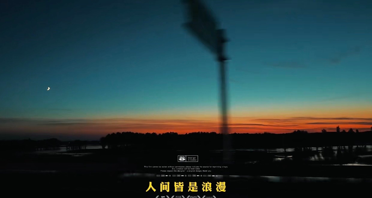 最好的视频（散文诗），作者，菩提树（图5）