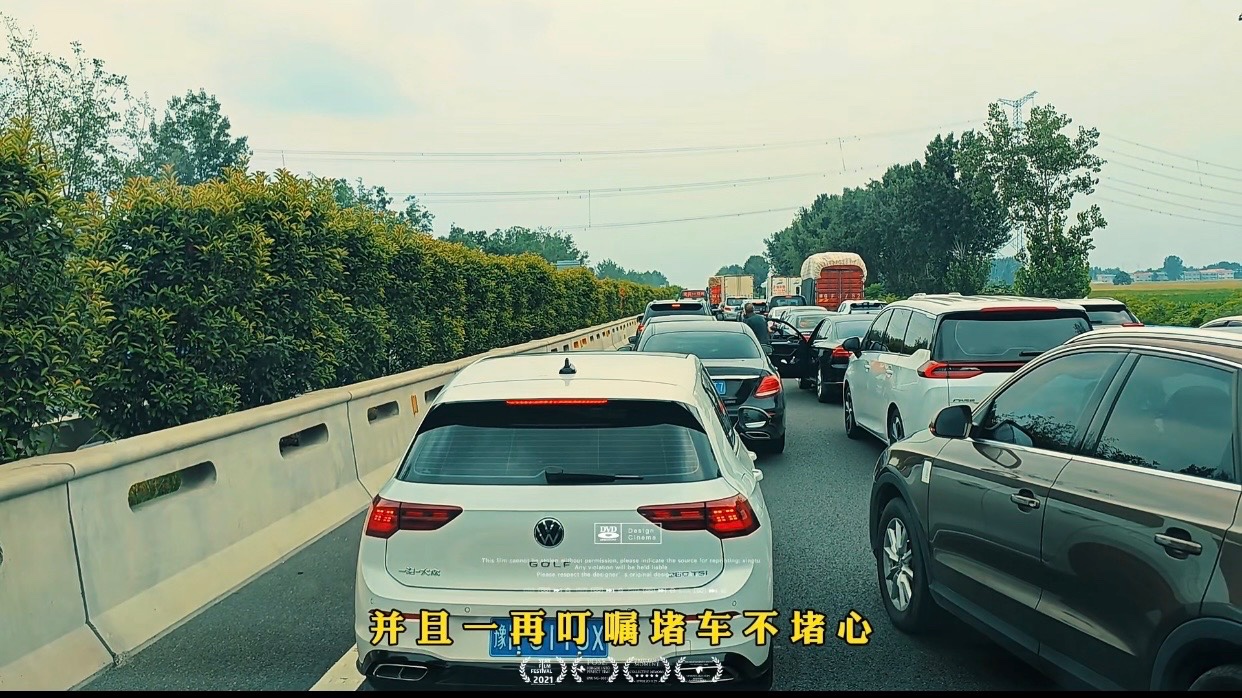 最好的视频（散文诗），作者，菩提树（图11）