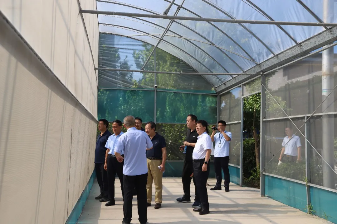 清香盛宴·香溢东昌——正信酒业光岳古酿高端清香品鉴会在正信酒业成功举办（图5）