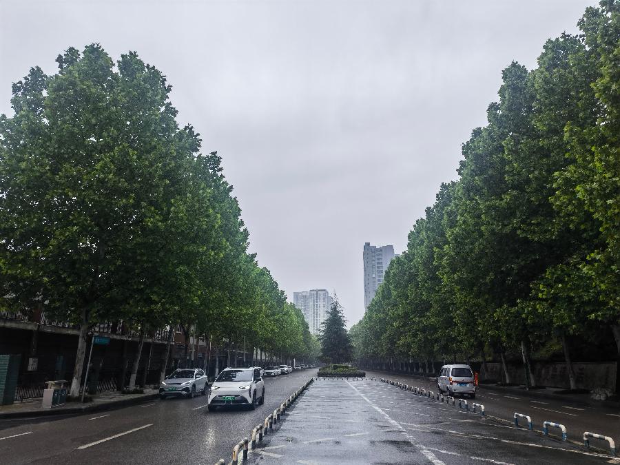 「散文」沙溪沟的早晨（图12）