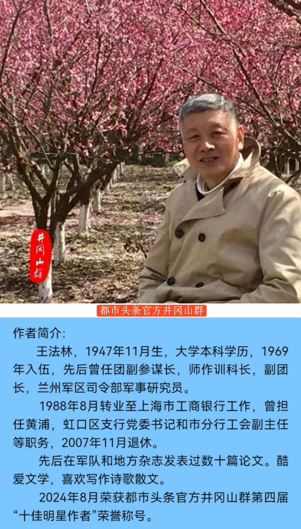 诗话都市头条之井冈山群～诗||王法林（图24）