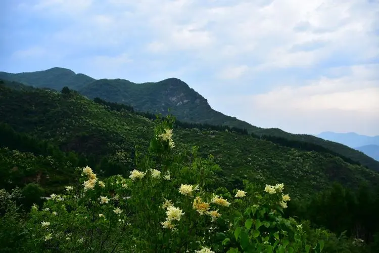 爱在百花山（一）诗||刘瑞宝（图12）