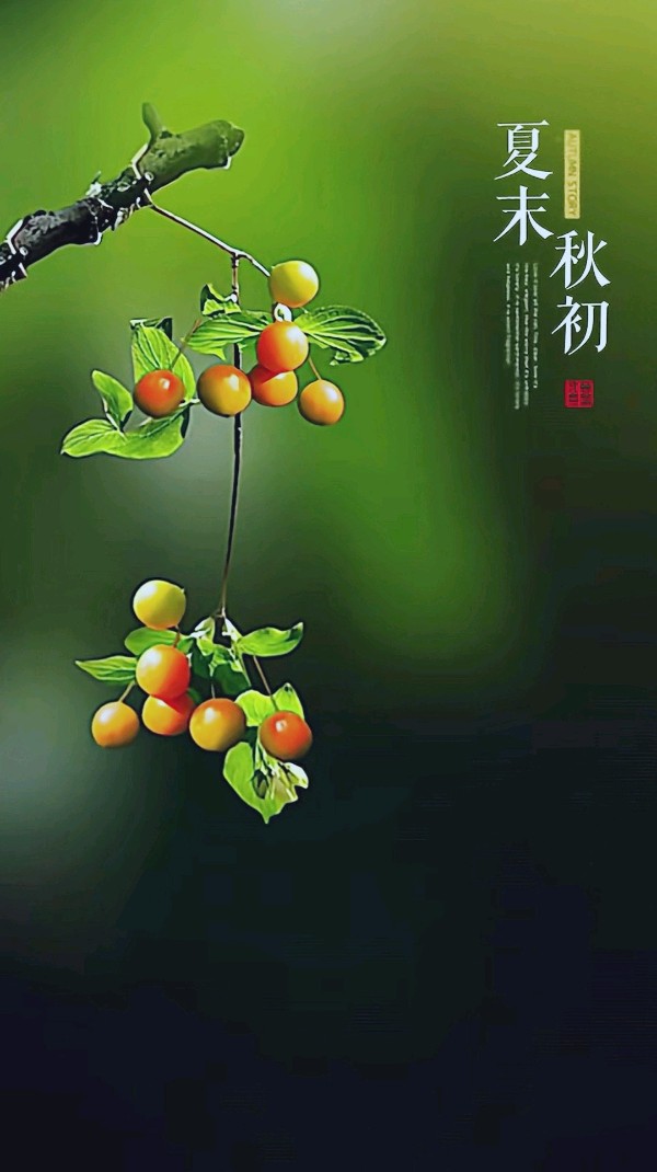 七律-孟秋剪影～诗||杨景儒（图8）