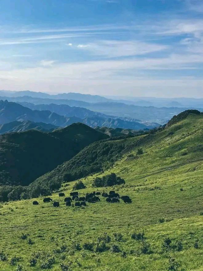 爱在百花山（二）诗||刘瑞宝（图14）