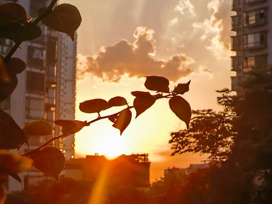 「散文」夕阳，从阳台前滑落（图11）