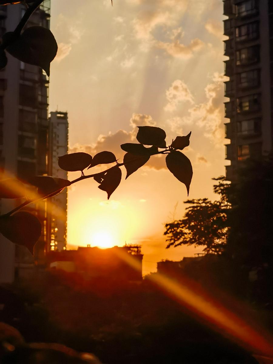 「散文」夕阳，从阳台前滑落（图2）