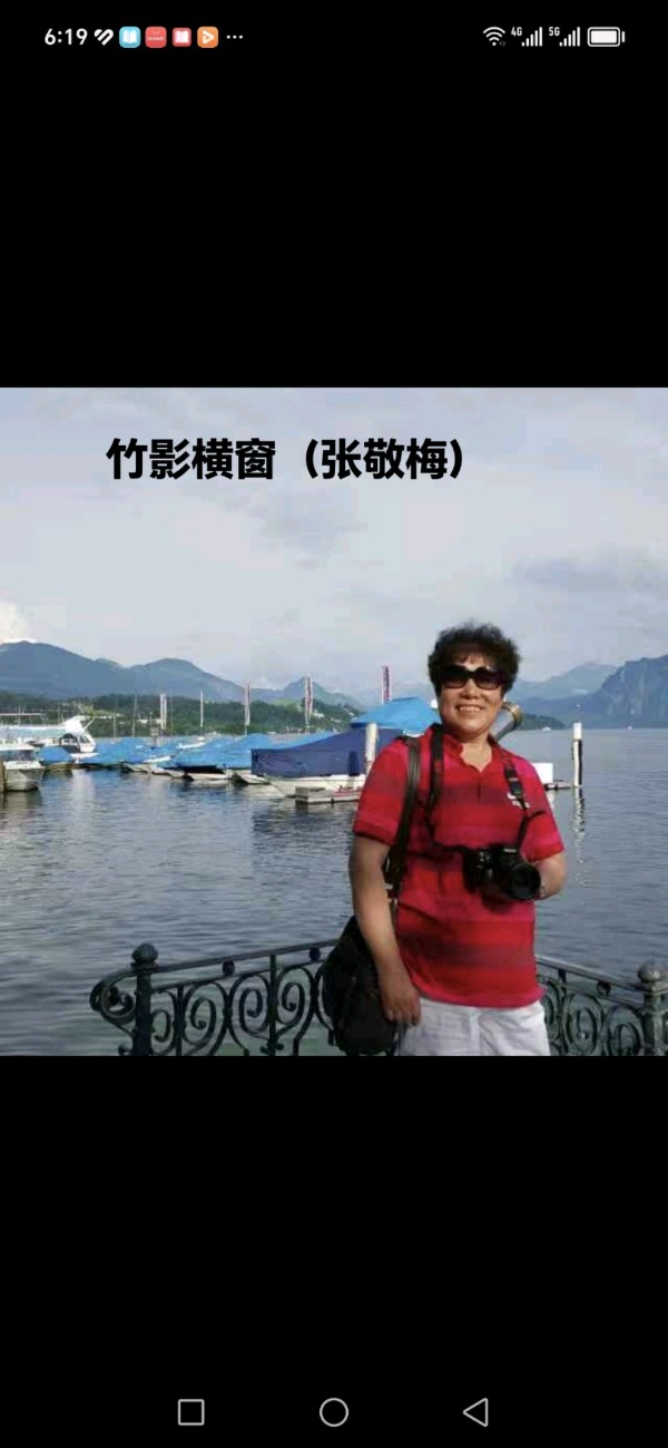 张敬梅（竹影横窗）∥书法作品欣赏（图10）