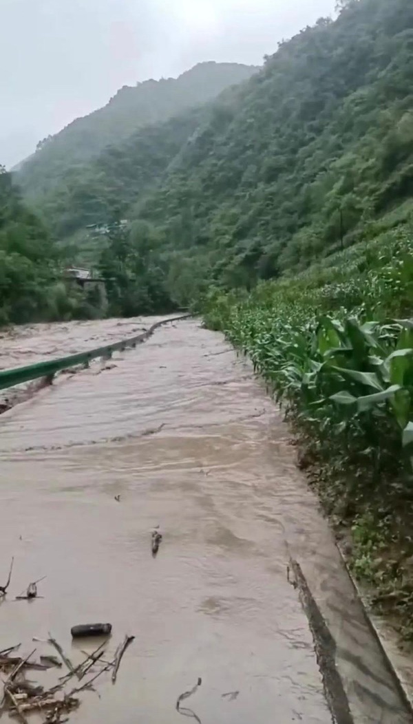 五律_雨患_作者:诗与远方_京津沪头条