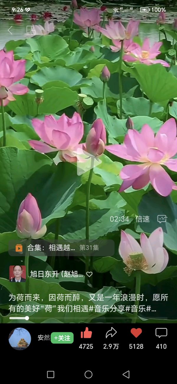 赵旭东（長民）∥编辑《相遇》一歌曲歌词分镜头（图2）
