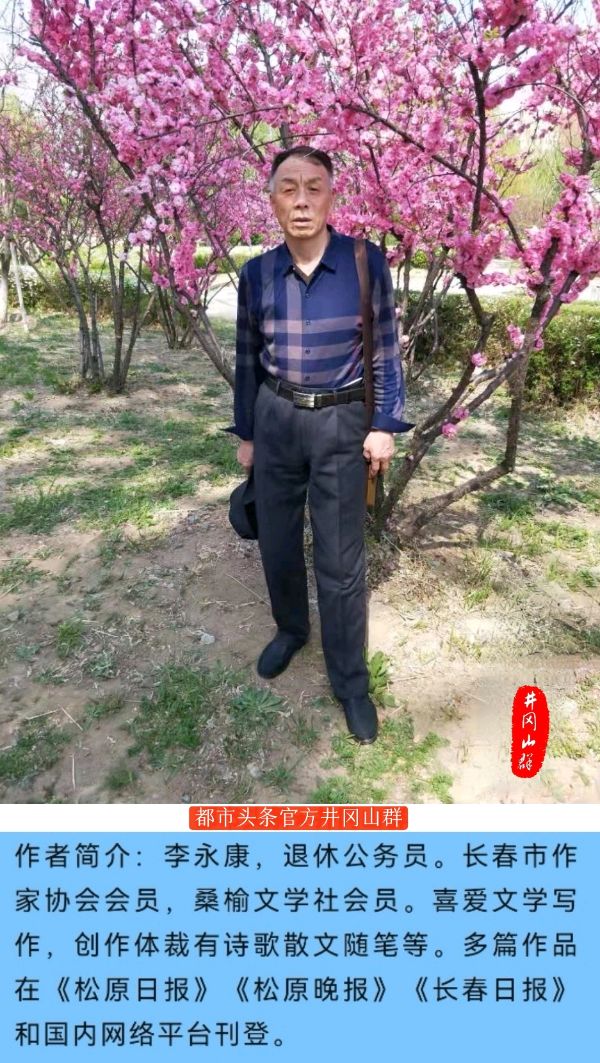 创新～诗||李永康（图15）