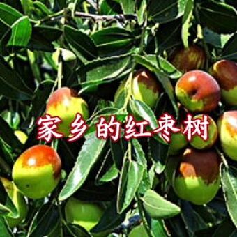 联机全球发布曹建成作品欣赏（图9）