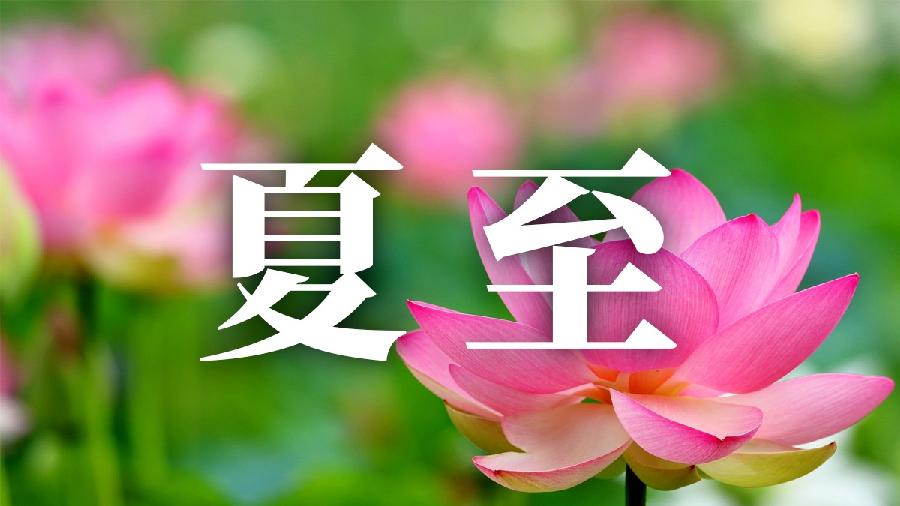 【英国文学】精品朗诵《七绝八首》作者｜不老松、朗诵｜薇薇、审核｜王文（图6）