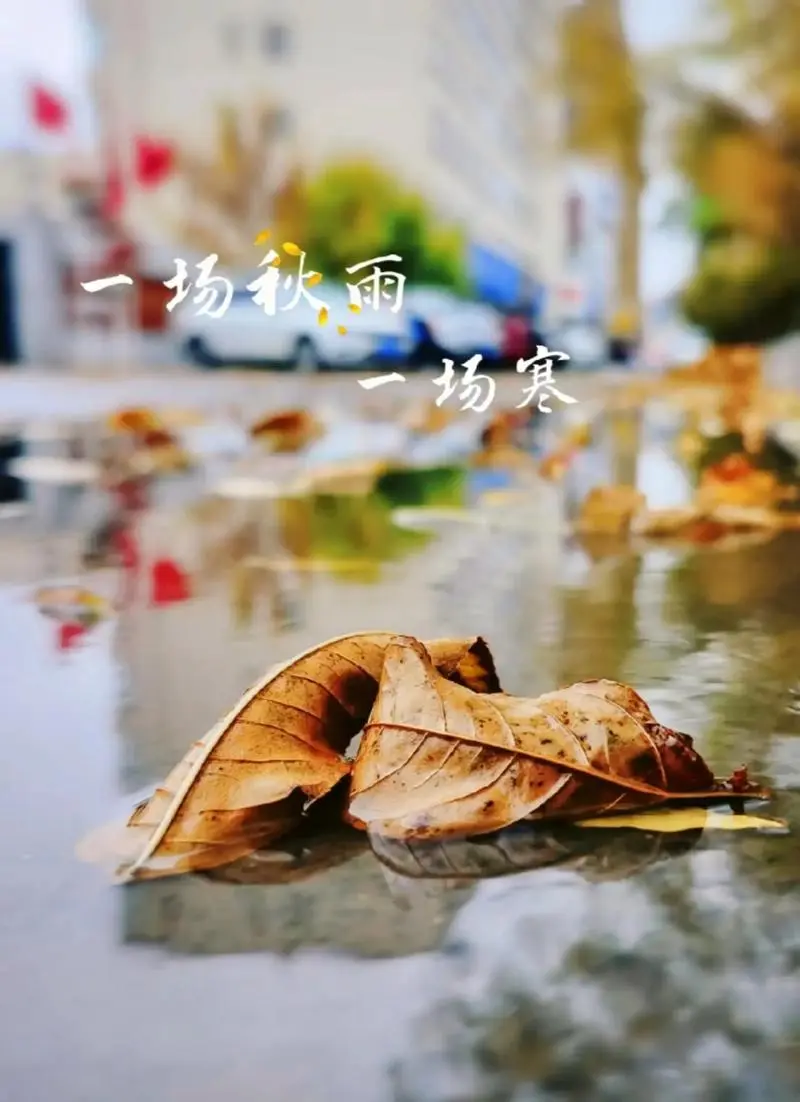 陕西张志民《一场秋雨一场寒》（图5）