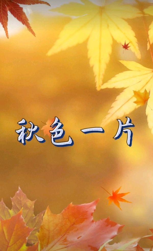五律-暑秋咏怀（组合）诗||童歌（图9）
