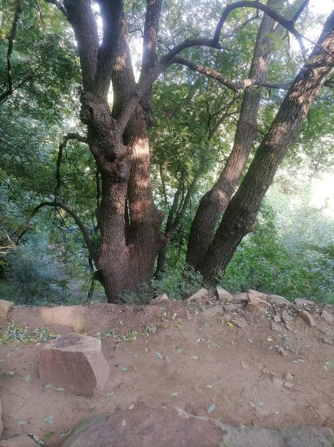荐赏:故乡（外三首）//作者:郭红涛//《诗路漫漫》征稿//都市头条（图6）