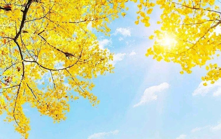 荐赏:九月秋韵//作者//蒲公英//《诗路漫漫》征稿//都市头条（图6）