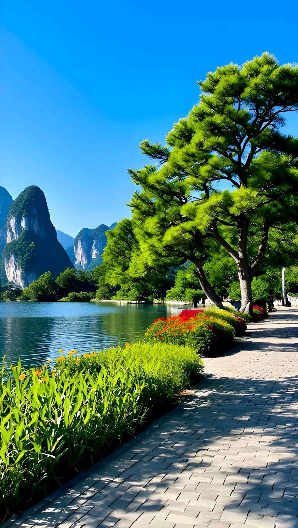 桂枝香-秋吟～词||王政（图14）