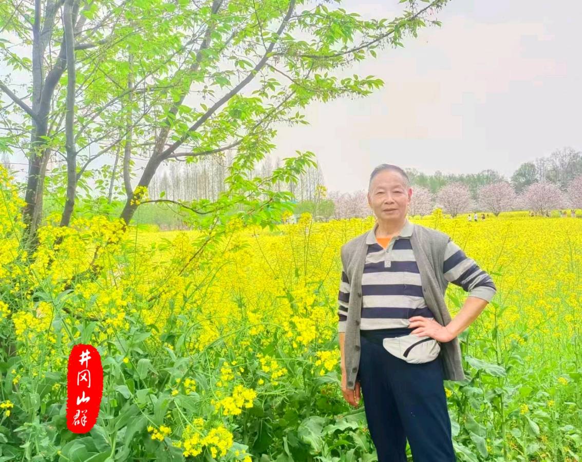 故乡行（组合）诗||阳万青（图24）