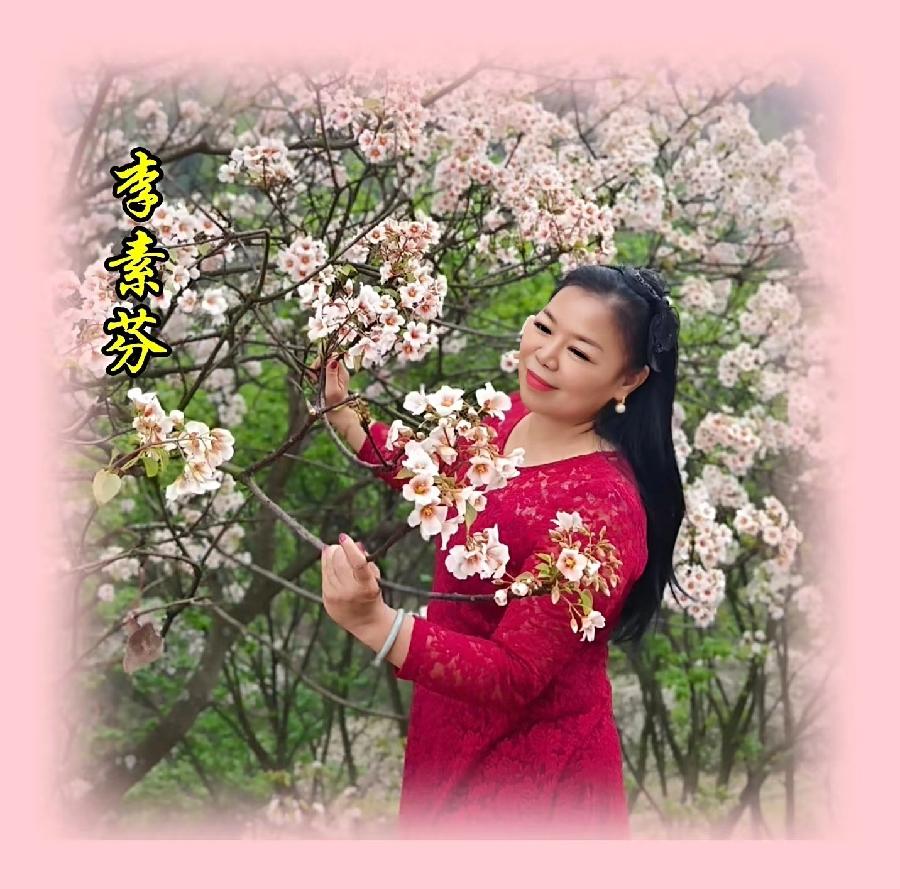 【翰林国粹诗社】才女刊162期佳作欣赏（图22）