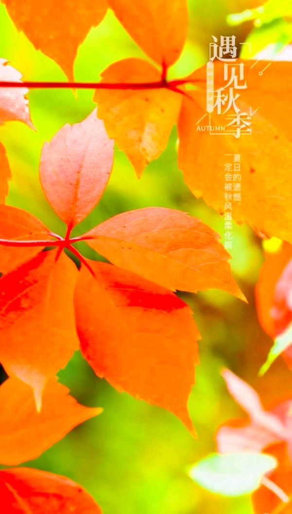 七言排律-甲辰白露～诗||杨景儒（图15）