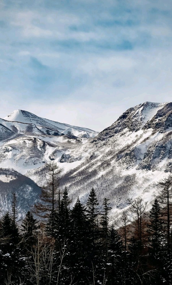 锦绣河山（组合/连载09）诗||王金廷（图19）