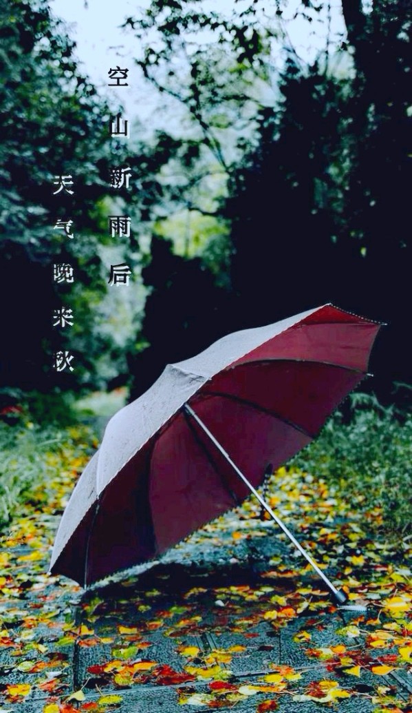 七绝-秋咏～诗||王政（图8）
