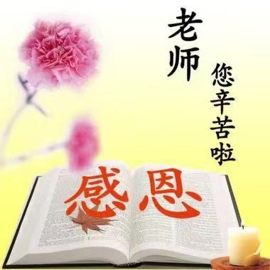 《灵魂的灯塔》文：青莲雨润【北欧总社】世界诗人名人展10153期（图3）