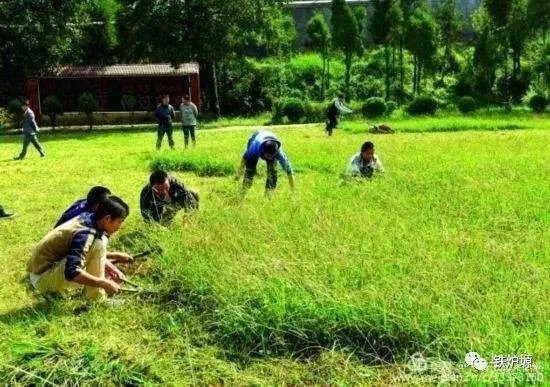 陕西作家孙旭升《割草》（图5）