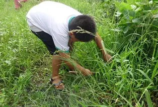 陕西作家孙旭升《割草》（图7）