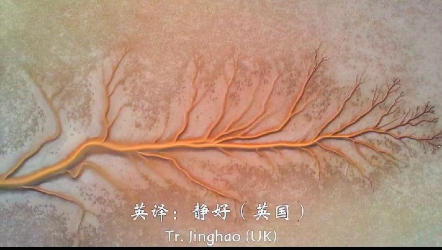 【英国文学】精品朗诵《幽兰韵香》- 姜兰双语诗集《等你在东营》序 作者｜静好、朗诵｜薇薇（图5）