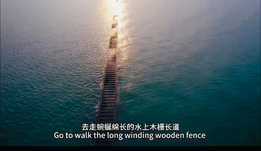 【英国文学】精品朗诵《幽兰韵香》- 姜兰双语诗集《等你在东营》序 作者｜静好、朗诵｜薇薇（图9）