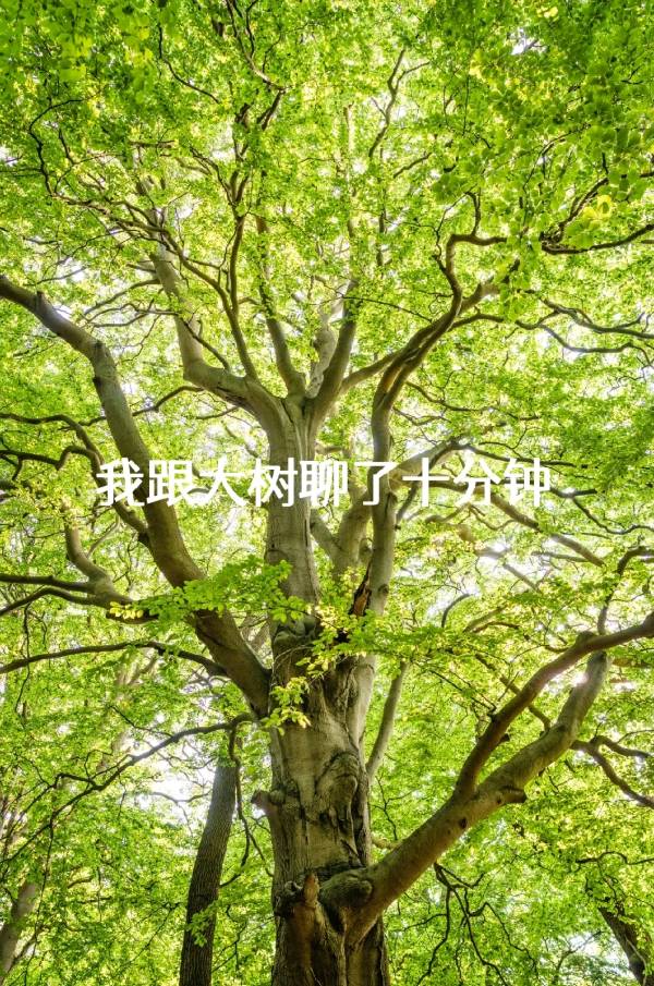七律-草与树～诗||旗袍（图14）